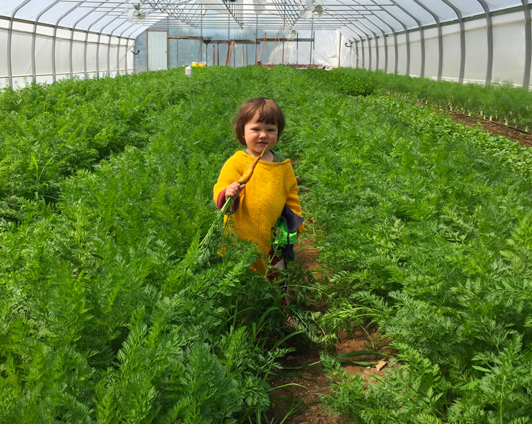 Coopérative fermière La Charrette