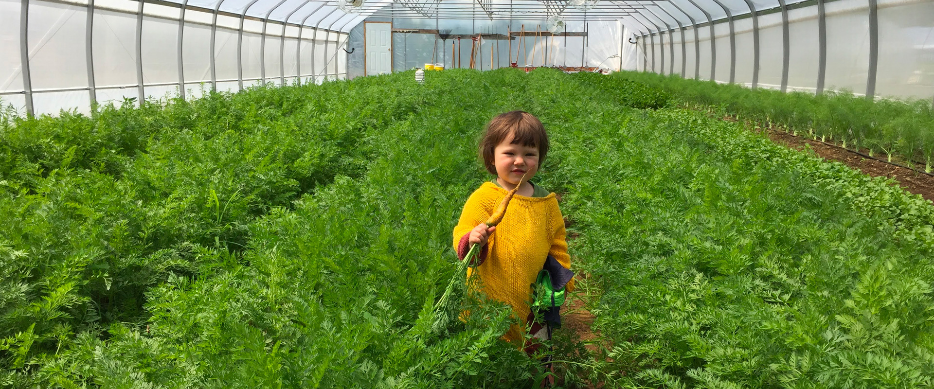 Coopérative fermière La Charrette