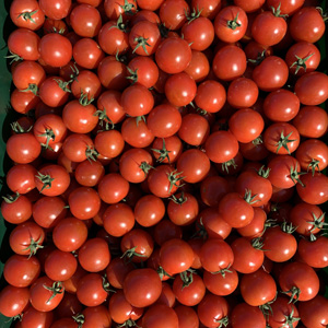 Mosaïque photo tomates-cerises.jpg