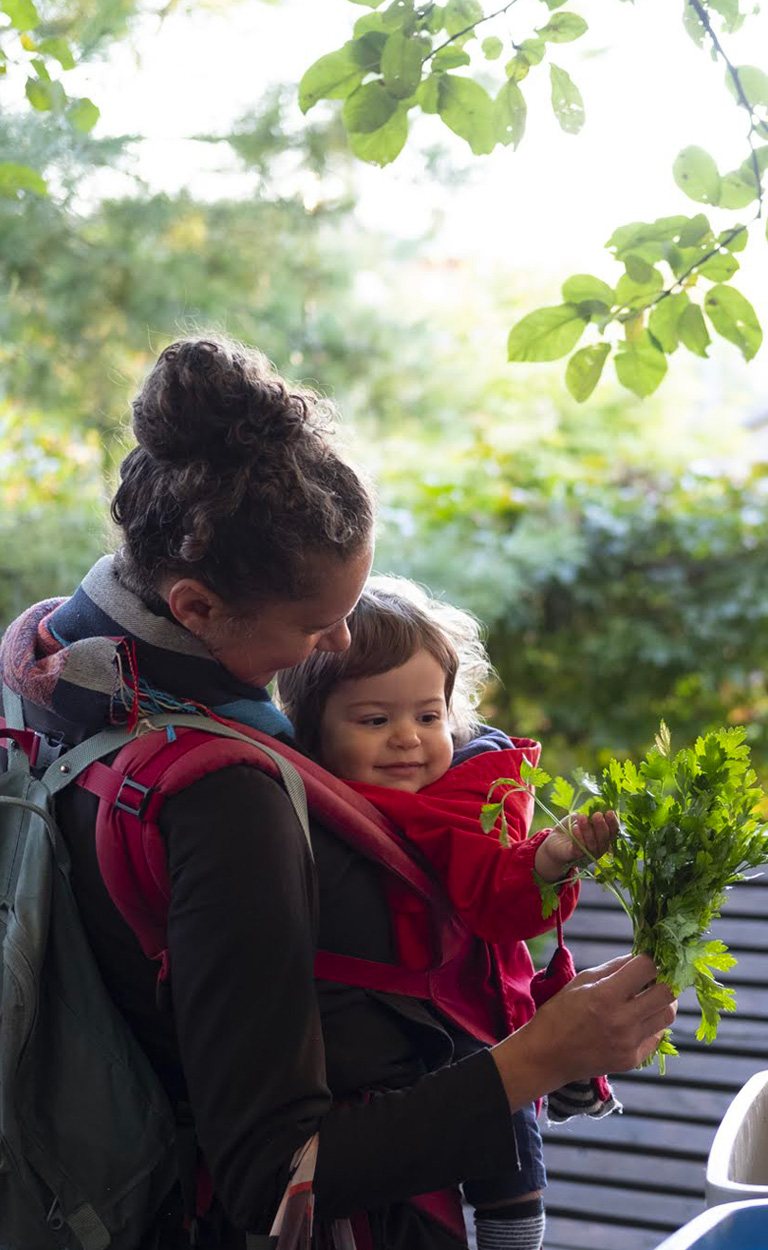 Paniers solidaires de La Charrette