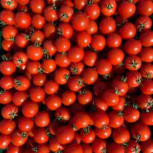 Restaurants - tomates-cerises.jpg